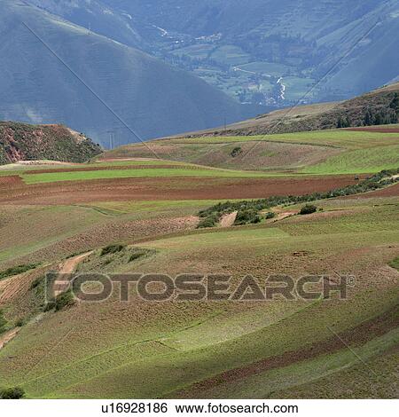 Stock Photograph - Agricultural field in Sacred Valley, Cusco Region, Peru. Fotosearch