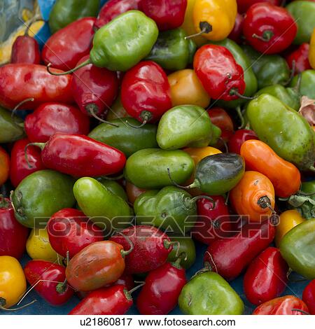 Stock Photo - Chili pepper for sale at a market stall in Pisac, Sacred Valley, Cusco Region, Peru. Fotosearch