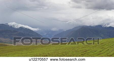 Clouds over an agricultural field, Sacred Valley, Cusco Region, Peru View Large Photo Image Stock Photo - Clouds over an agricultural field, Sacred Valley, Cusco Region, Peru. Fotosearch