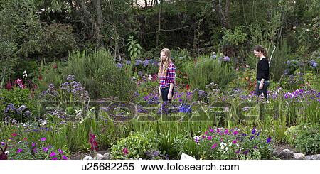 Stock Photography - Friends in the garden of Willka Tika Guesthouse, Willka Tika, Sacred Valley, Cusco Region, Peru. Fotosearch