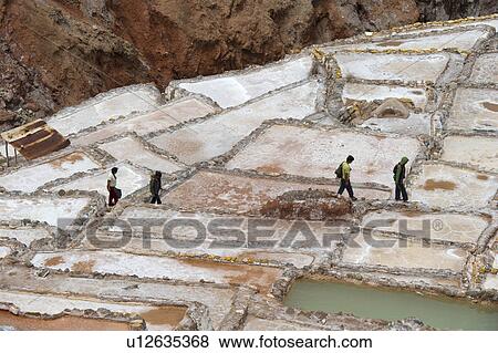 Stock Photo - High angle view of salt pond, Maras, Sacred Valley, Cusco Region, Peru. Fotosearch