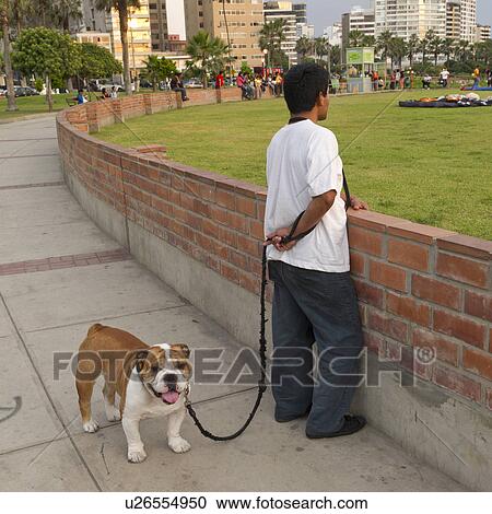 Stock Image - Man with his dog in a park, Av De La Aviacion, Miraflores District, Lima Province, Peru. Fotosearch