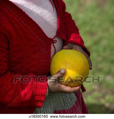 Mid section view of a girl holding a lemon in a school, Chumpepoke Primary School, Sacred Valley, Cusco Region, Peru View Large Photo Image Stock Image - Mid section view of a girl holding a lemon in a school, Chumpepoke Primary School, Sacred Valley, Cusco Region, Peru. Fotosearch