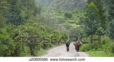 Stock Photography - People walking with a donkey on a dirt road, Sacred Valley, Cusco Region, Peru. Fotosearch