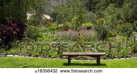 Plants in a garden, Willka Tika, Sacred Valley, Cusco Region, Peru View Large Photo Image Stock Image - Plants in a garden, Willka Tika, Sacred Valley, Cusco Region, Peru. Fotosearch