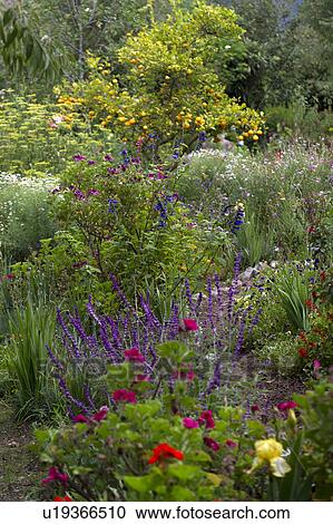 Stock Image - Plants in a garden, Willka Tika, Sacred Valley, Cusco Region, Peru. Fotosearch