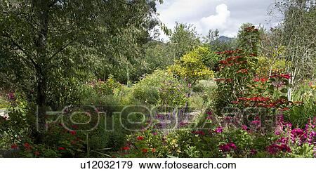 Plants in a garden, Willka Tika, Sacred Valley, Cusco Region, Peru View Large Photo Image Stock Photo - Plants in a garden, Willka Tika, Sacred Valley, Cusco Region, Peru. Fotosearch