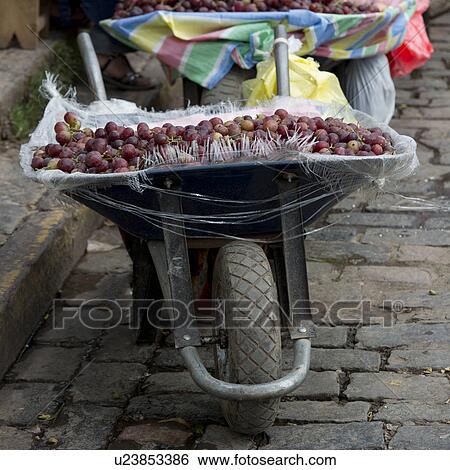Plum for sale at a market stall on a wheelbarrow, Mercado Central, Cuzco, Peru View Large Photo Image Stock Photograph - Plum for sale at a market stall on a wheelbarrow, Mercado Central, Cuzco, Peru. Fotosearch