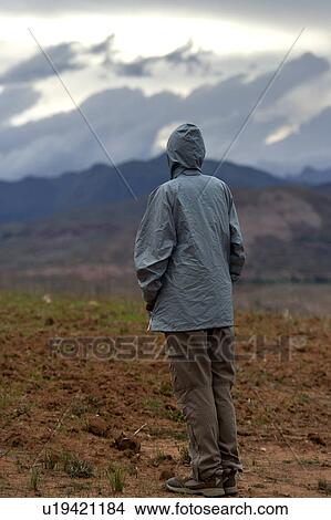 Picture - Rear view of a man standing in the field, Sacred Valley, Cusco Region, Peru. Fotosearch