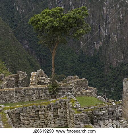 Stock Image - Ruins of The Lost City of The Incas, Machu Picchu, Cusco Region, Peru. Fotosearch