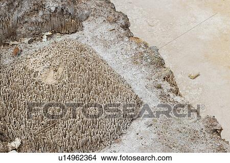 Salt pond, Maras, Sacred Valley, Cusco Region, Peru View Large Photo Image Picture - Salt pond, Maras, Sacred Valley, Cusco Region, Peru. Fotosearch