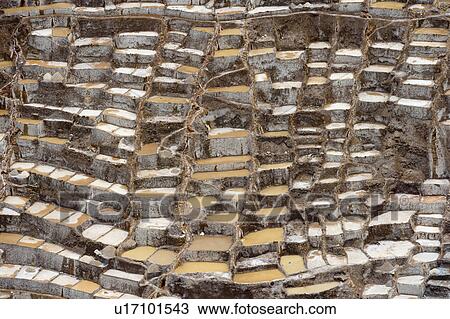 Salt pond, Maras, Sacred Valley, Cusco Region, Peru View Large Photo Image Stock Image - Salt pond, Maras, Sacred Valley, Cusco Region, Peru. Fotosearch