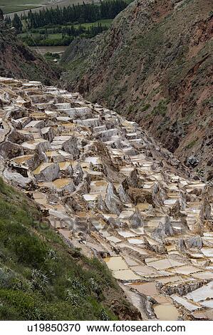Salt pond, Maras, Sacred Valley, Cusco Region, Peru View Large Photo Image Stock Image - Salt pond, Maras, Sacred Valley, Cusco Region, Peru. Fotosearch