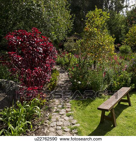 Stock Image - Trees in a garden of Willka Tika Guesthouse, Willka Tika, Sacred Valley, Cusco Region, Peru. Fotosearch