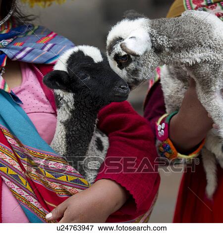 Stock Photo - Two women holding kid goats, Cuzco, Peru. Fotosearch