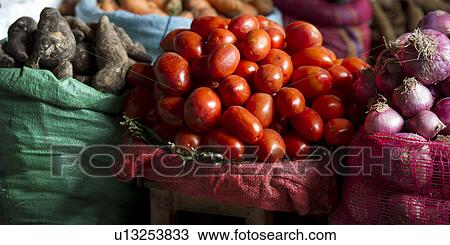 Vegetables for sale at a store, Sacred Valley, Cusco Region, Peru View Large Photo Image Stock Image - Vegetables for sale at a store, Sacred Valley, Cusco Region, Peru. Fotosearch
