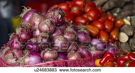 Vegetables for sale at a store, Sacred Valley, Cusco Region, Peru View Large Photo Image Stock Image - Vegetables for sale at a store, Sacred Valley, Cusco Region, Peru. Fotosearch