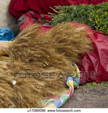 Stock Photo - Vendor selling stalks of wheat at a market stall, Sacred Valley, Cusco Region, Peru. Fotosearch