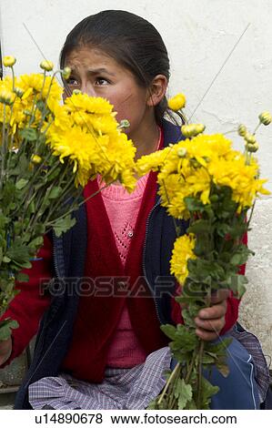 Woman selling daisies at Mercado Central, Cuzco, Peru View Large Photo Image Stock Photo - Woman selling daisies at Mercado Central, Cuzco, Peru. Fotosearch