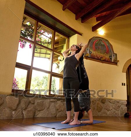 Women practicing yoga in a gym, Willka Tika Guesthouse, Willka Tika, Sacred Valley, Cusco Region, Peru View Large Photo Image Stock Image - Women practicing yoga in a gym, Willka Tika Guesthouse, Willka Tika, Sacred Valley, Cusco Region, Peru. Fotosearch