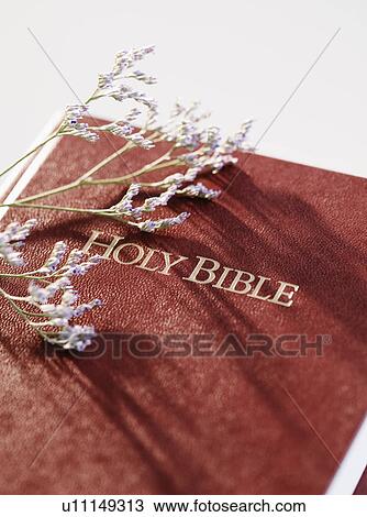 Stock Image - Bible and stem of lavender. Fotosearch