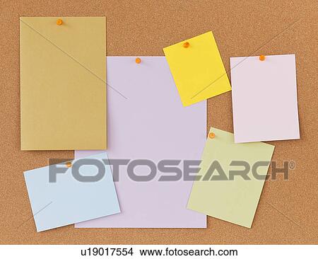 Blank labels on cork board View Large Photo Image Picture - Blank labels on cork board. Fotosearch
