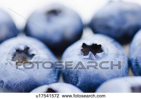 Stock Image - Blueberries. Fotosearch