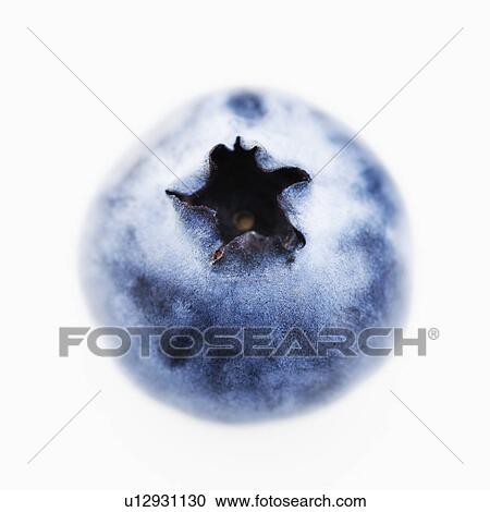 Blueberry on white background View Large Photo Image Stock Image - Blueberry on white background. Fotosearch