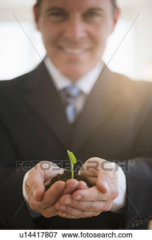 Businessman holding seedling View Large Photo Image Stock Photo - Businessman holding seedling. Fotosearch