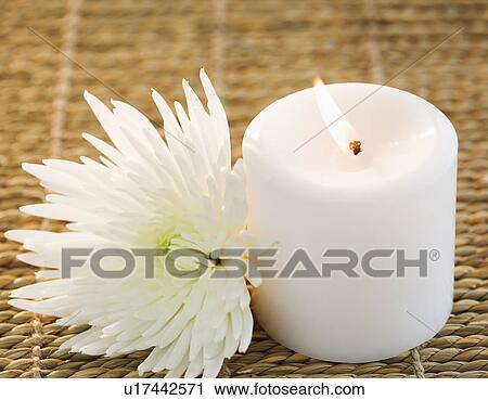 Candle and white aster View Large Photo Image Stock Image - Candle and white aster. Fotosearch