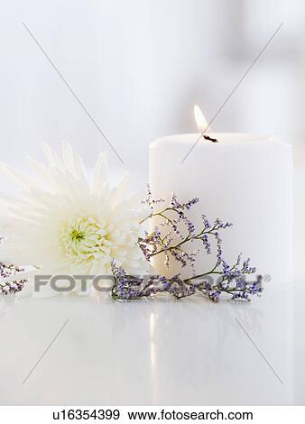 Candle, aster flower and lavender View Large Photo Image Stock Photo - Candle, aster flower and lavender. Fotosearch