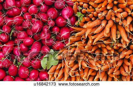 Stock Image - Carrots and radishes for sale. Fotosearch