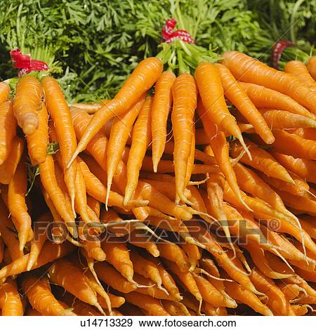 Carrots for sale View Large Photo Image Stock Photo - Carrots for sale. Fotosearch