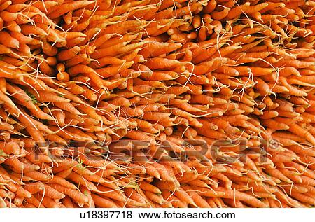 Carrots for sale View Large Photo Image Stock Photo - Carrots for sale. Fotosearch