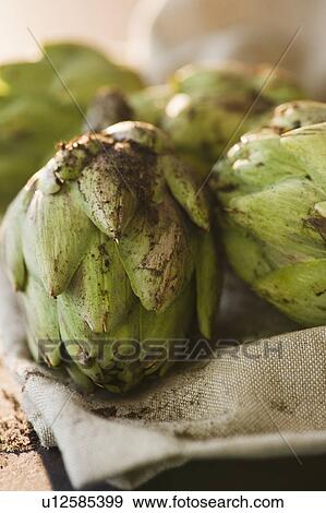 Close up of artichoke View Large Photo Image Stock Photo - Close up of artichoke. Fotosearch