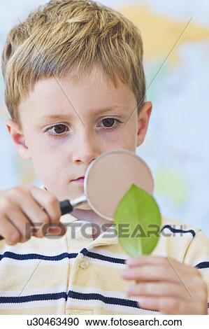 Close up of boy (4-5) looking at leaf through magnifying glass View Large Photo Image Stock Image - Close up of boy (4-5) looking at leaf through magnifying glass. Fotosearch