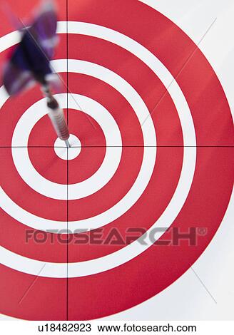Close up of bull's-eye View Large Photo Image Stock Image - Close up of bull's-eye. Fotosearch