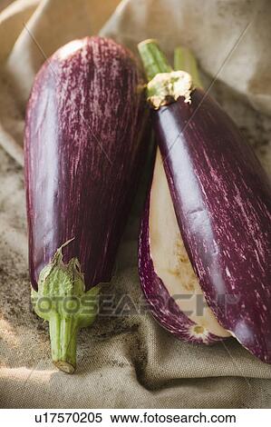 Close up of eggplant View Large Photo Image Stock Photography - Close up of eggplant. Fotosearch