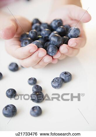 Stock Photograph - Close up of girl's (8-9) hands holding blueberries. Fotosearch