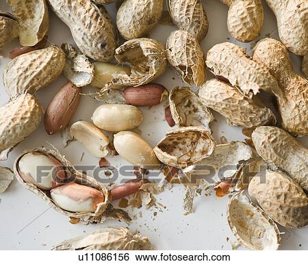 Close up of peanuts View Large Photo Image Stock Photograph - Close up of peanuts. Fotosearch