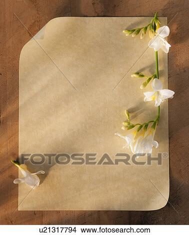 Close up of plank page of antique love letter with flowers View Large Photo Image Picture - Close up of plank page of antique love letter with flowers. Fotosearch