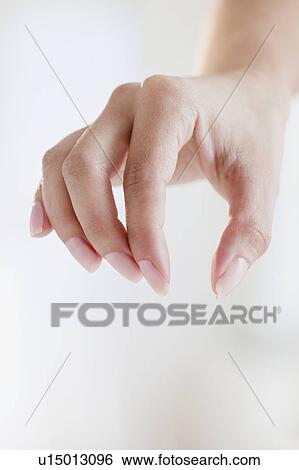 Close up of woman's hand View Large Photo Image Stock Photograph - Close up of woman's hand. Fotosearch