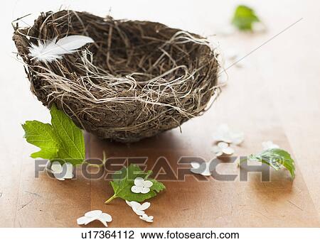 Feather and flowers with birds nest View Large Photo Image Stock Image - Feather and flowers with birds nest. Fotosearch