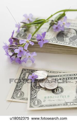 Stock Photography - Flowers and coins on dollar bills. Fotosearch