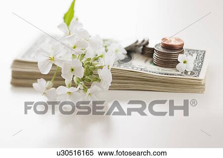 Stock Photography - Flowers and coins on pile of dollar bills. Fotosearch