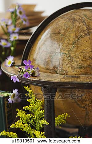 Flowers on antique globe View Large Photo Image Stock Image - Flowers on antique globe. Fotosearch