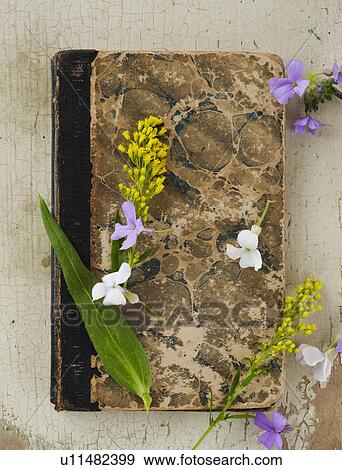 Flowers on old book View Large Photo Image Stock Photo - Flowers on old book. Fotosearch