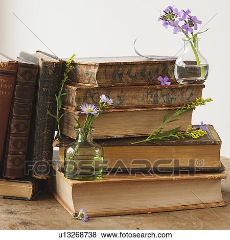 Flowers on old books View Large Photo Image Stock Photo - Flowers on old books. Fotosearch