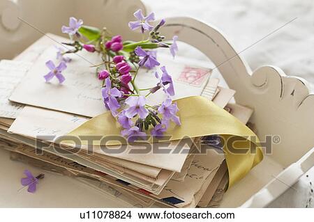 Flowers on top of letters View Large Photo Image Picture - Flowers on top of letters. Fotosearch