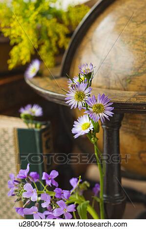 Picture - Flowers with antique globe and books. Fotosearch